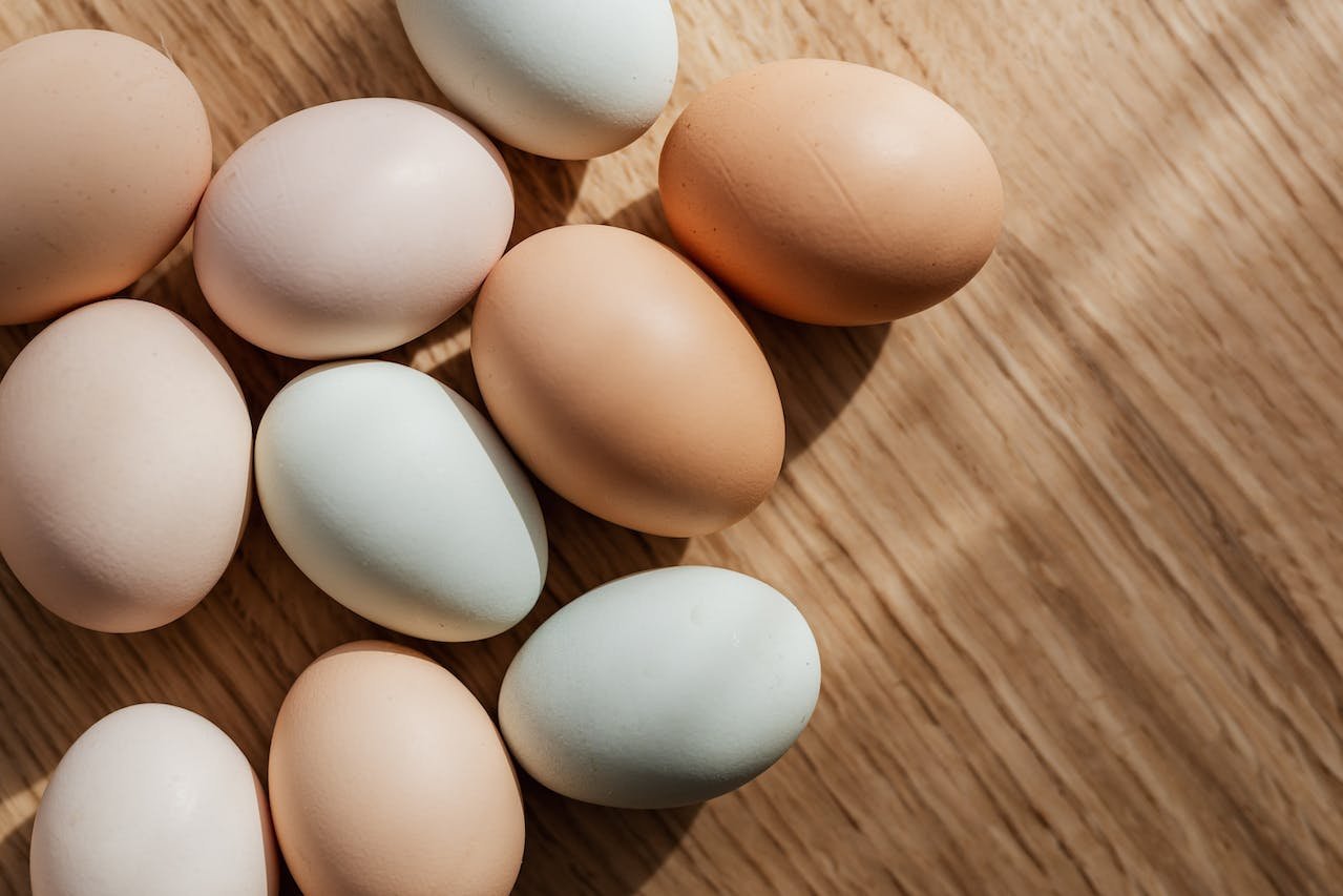 Al momento stai visualizzando From Science to Recipes: A 360-Degree Exploration of Boiled Eggs